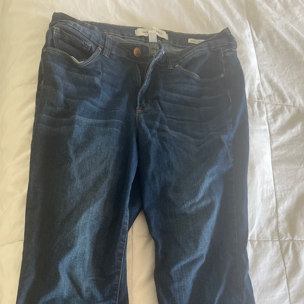 Vintage America boho skinny jeans